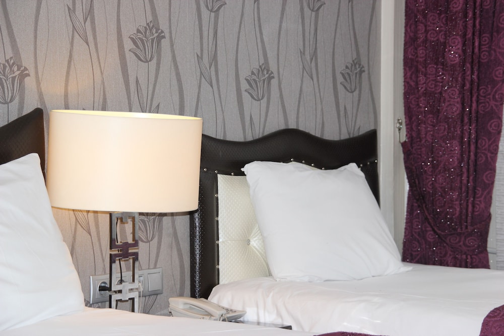 Ankara Risiss Hotel 42/74