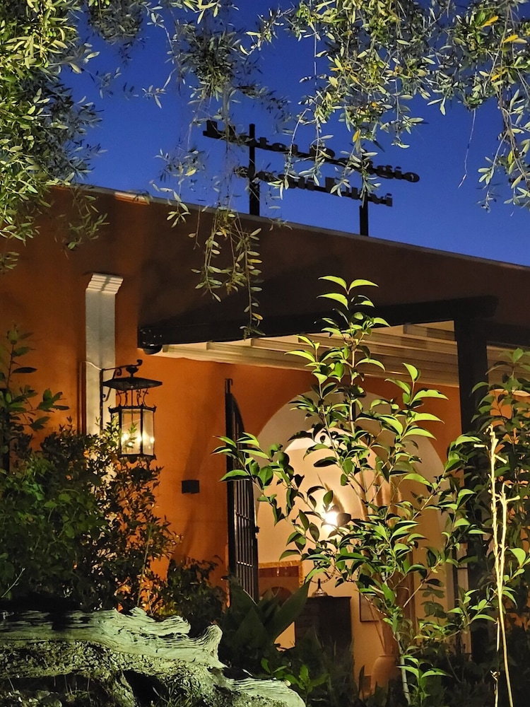 Poggio Degli Ulivi 2/55