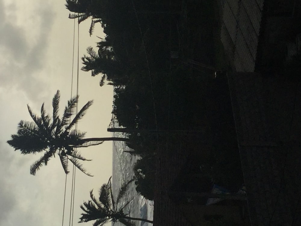 White Baby Beach Rest 12/20
