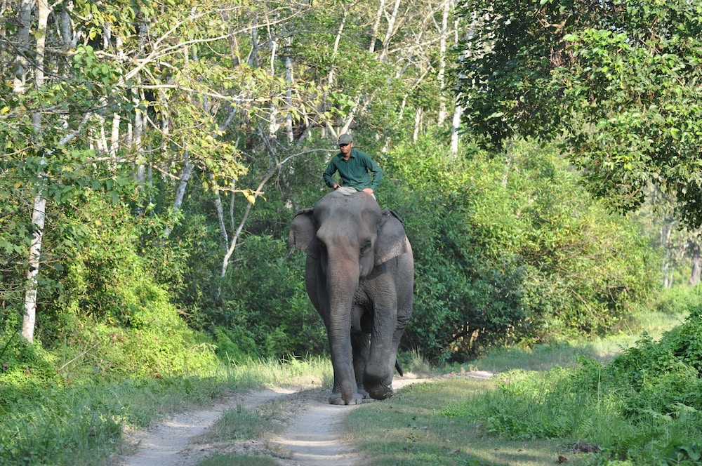 Sauraha Resort 43/50