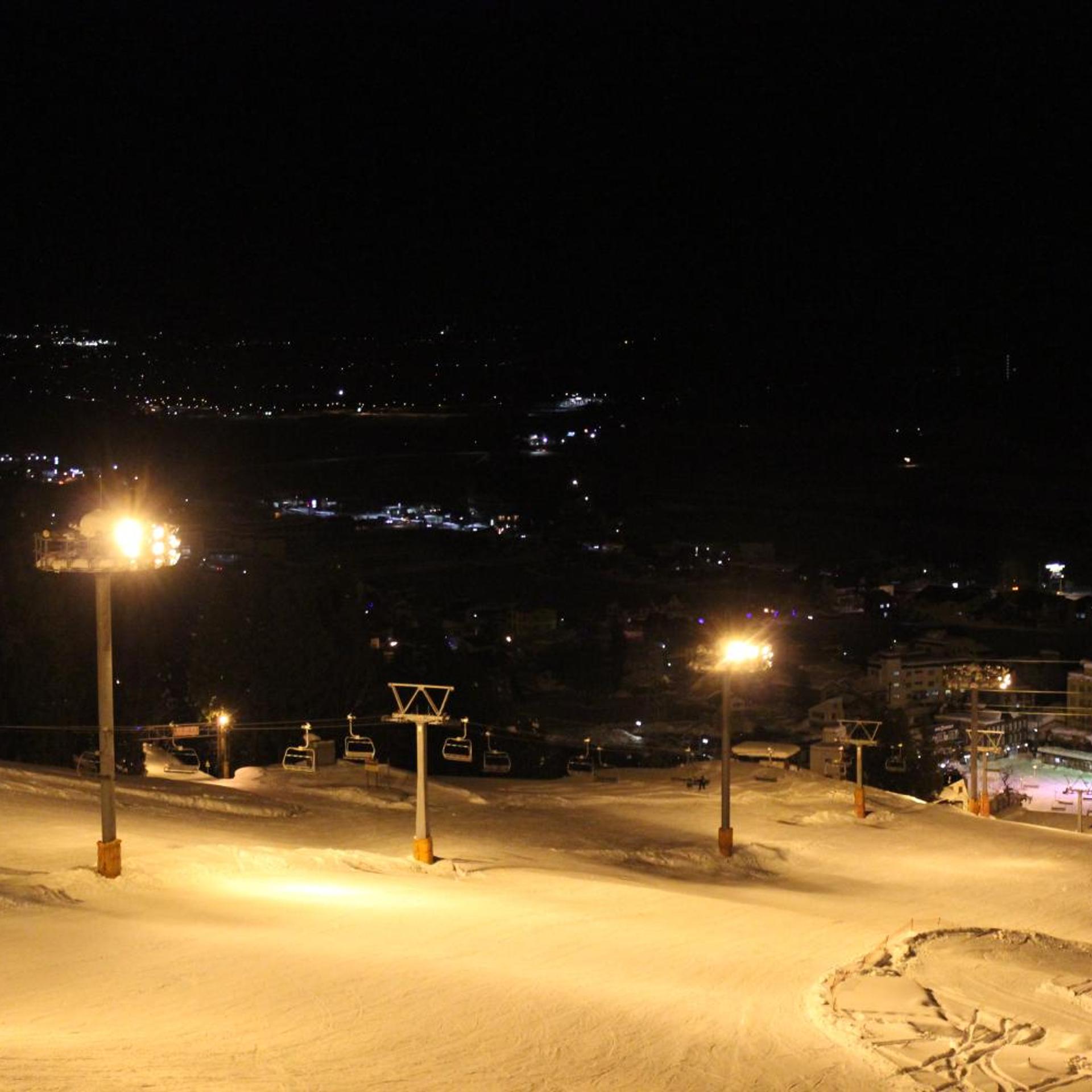 Maruyama Onsen Kojyokan 46/55