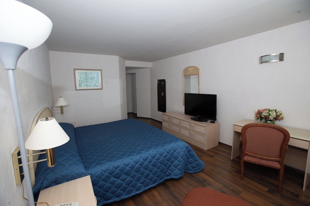 Hotel San Francisco Toluca 29/42