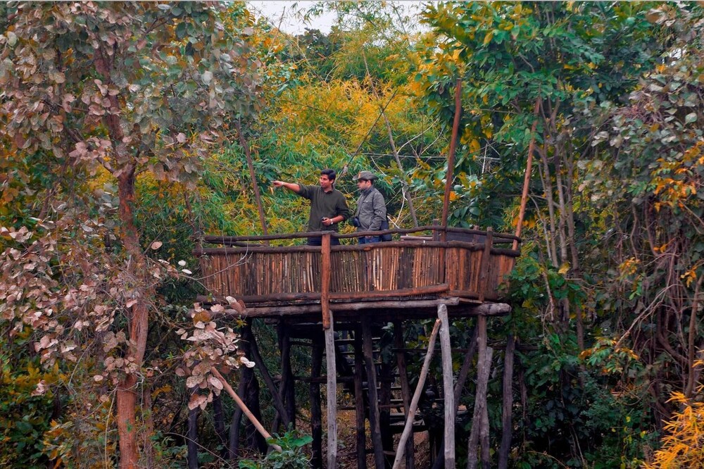 TREE HOUSE HIDEAWAY 47/50