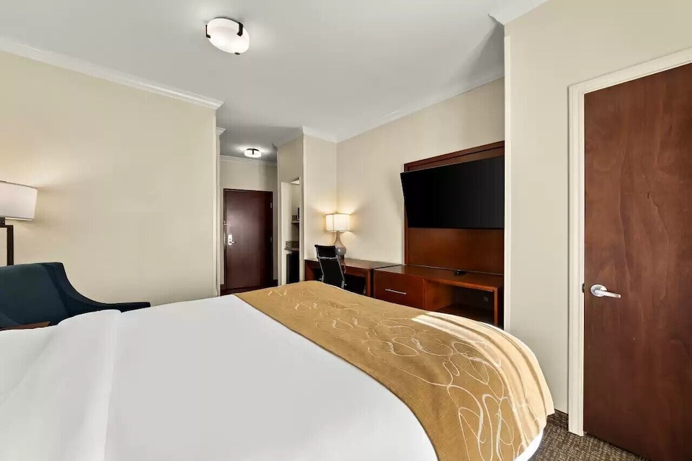 SUITE, QUEEN BED