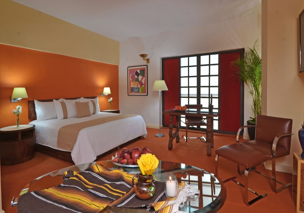 Hotel Mision Monterrey Centro Historico 15/44