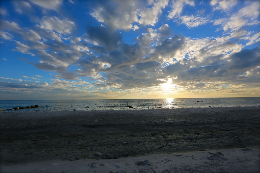 Shoreline Island Resort Exclusively Adult 34/50