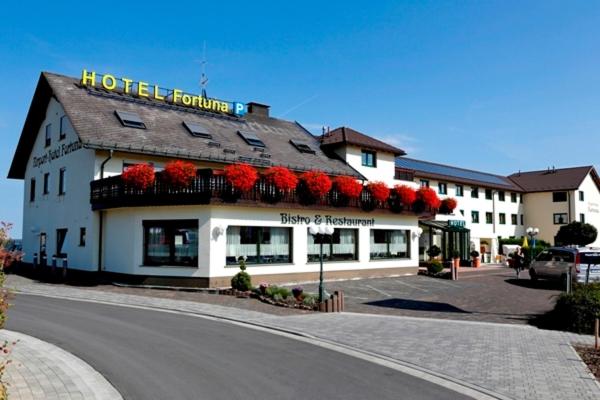 Airport-Hotel Fortuna 2/58