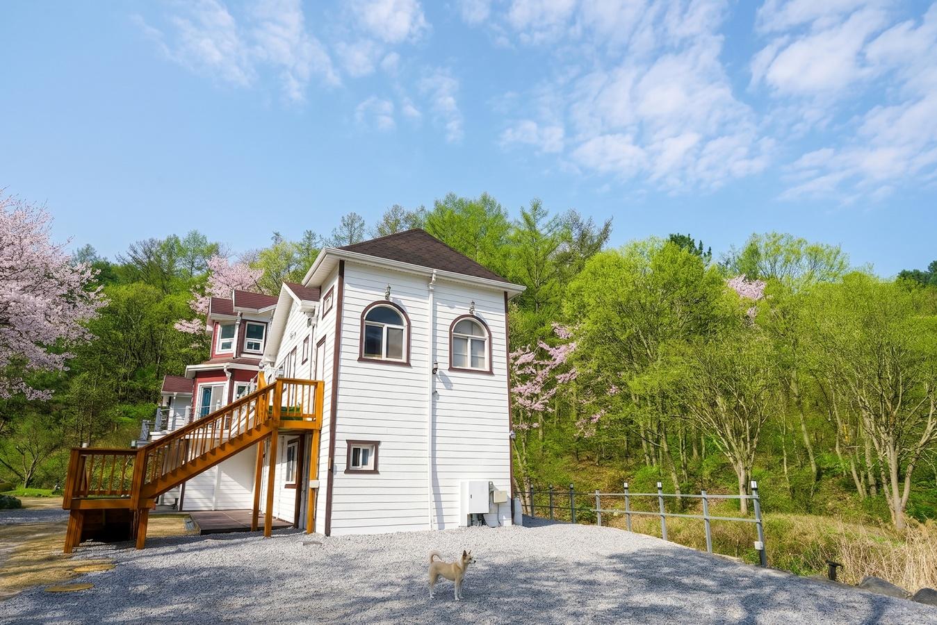 Yangpyeong Dorothy Velly Pension 13/39