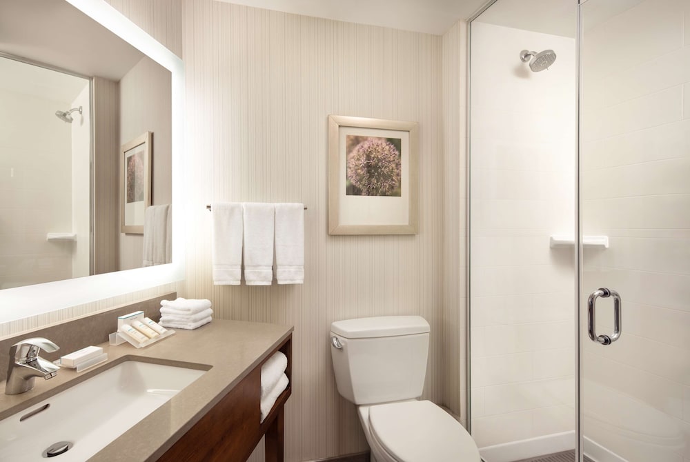 Hilton Garden Inn Long Island City New York 17/62