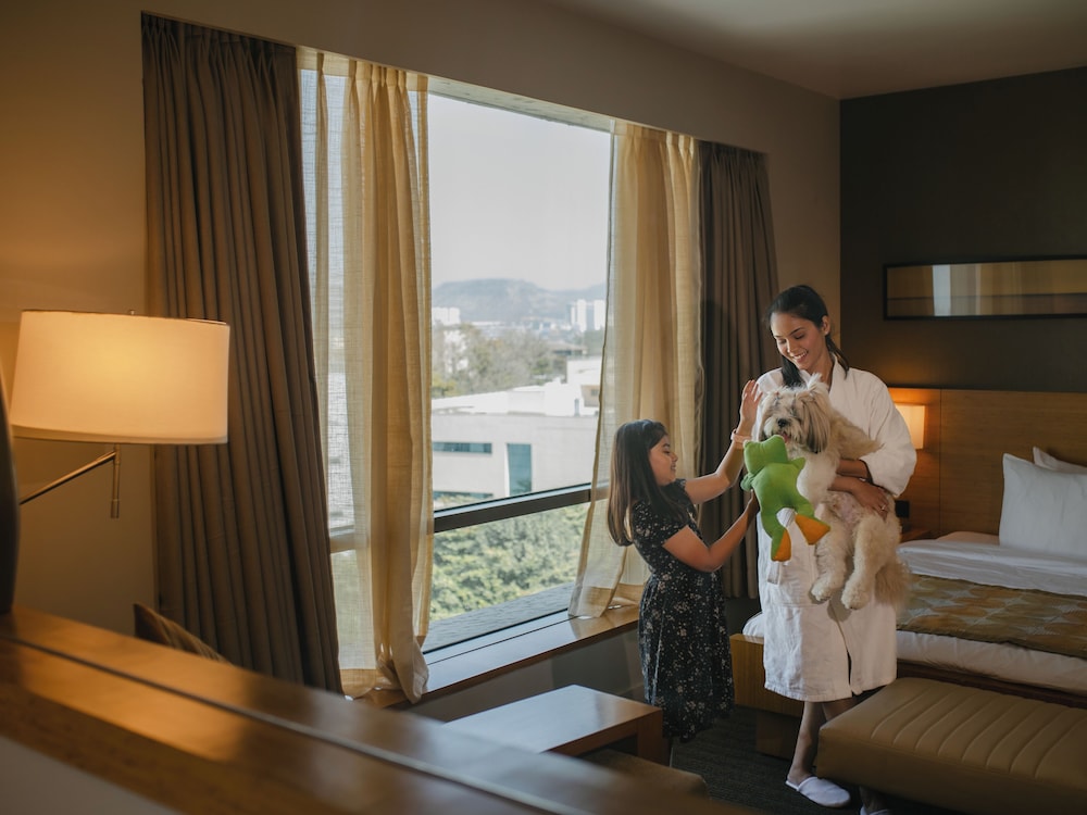 HYATT PLACE PUNE/HINJAWADI 28/50