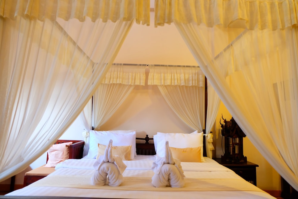 P Paradise Hotel 13/50