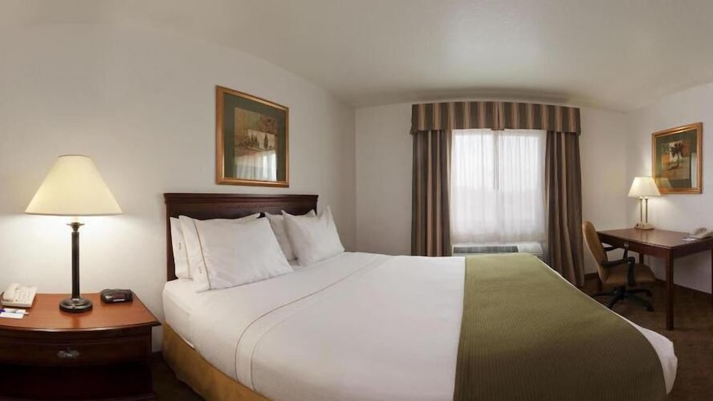 Holiday Inn Express Hotel Suites Elkins 21/60