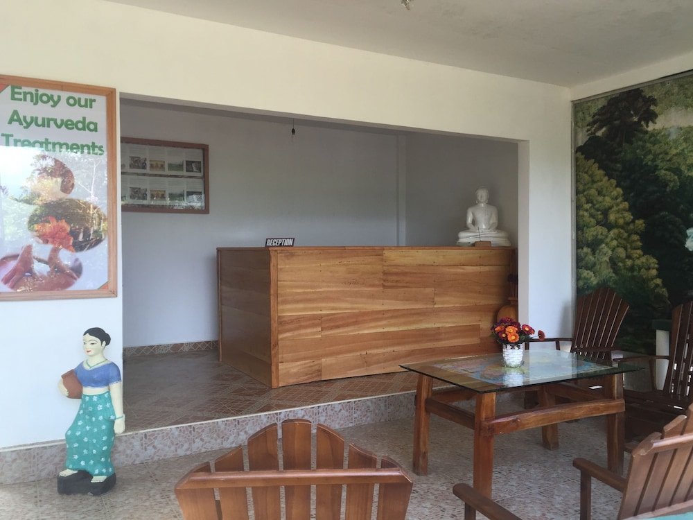 Rainforest Lodge 4/50