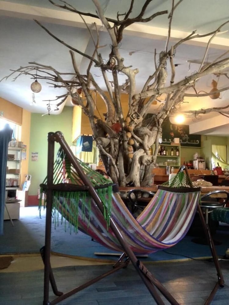 Organic Guesthouse & Cafe Ohana 36/39