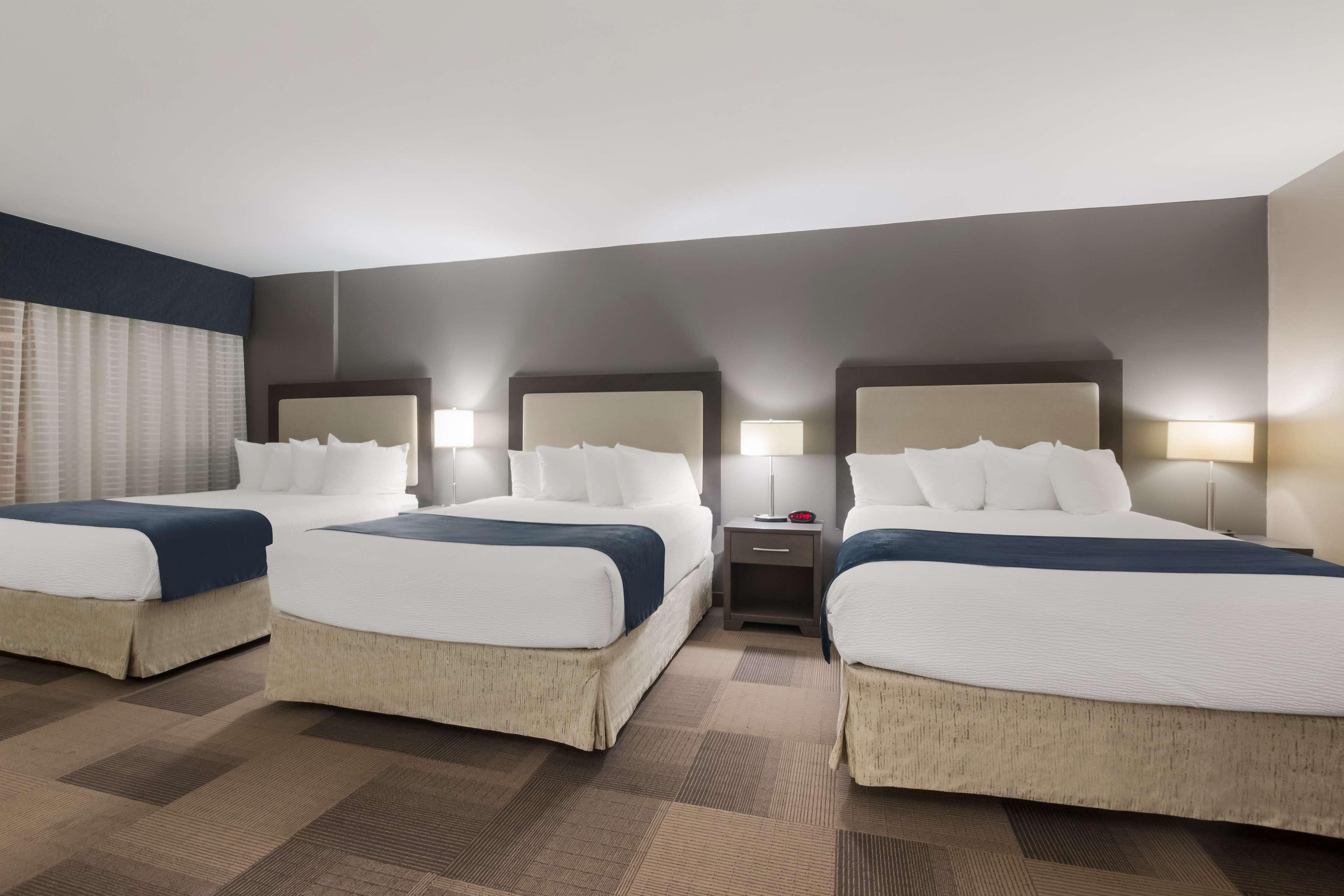 Room, Queen Bed