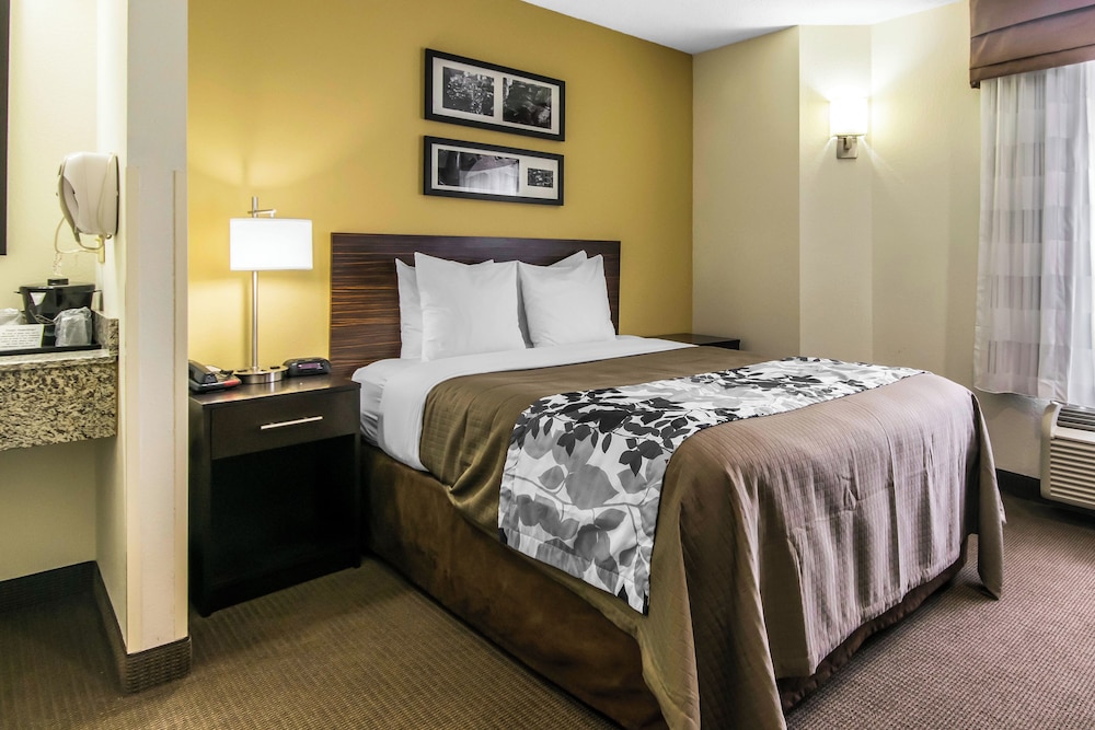غرفة قياسية بسرير كوين، Sleep Inn Lexington Hamburg 2/3