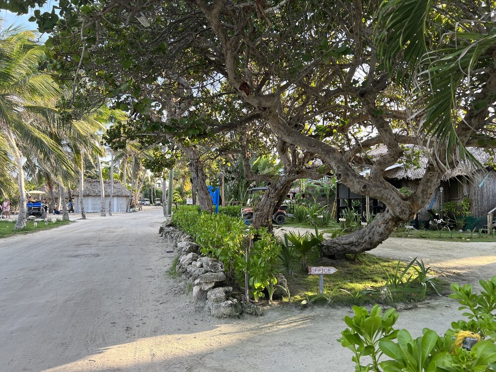 Hotel Del Rio 65/73