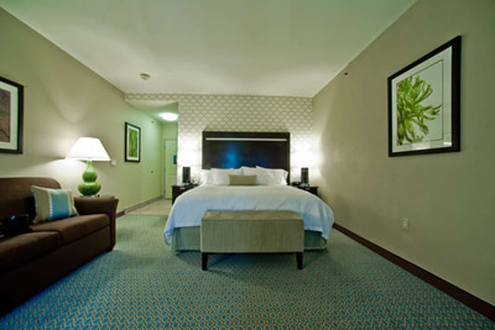 Hampton Inn and Suites Denison, TX 14/60