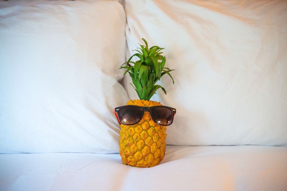 Sonesta Simply Suites Avondale 17/47