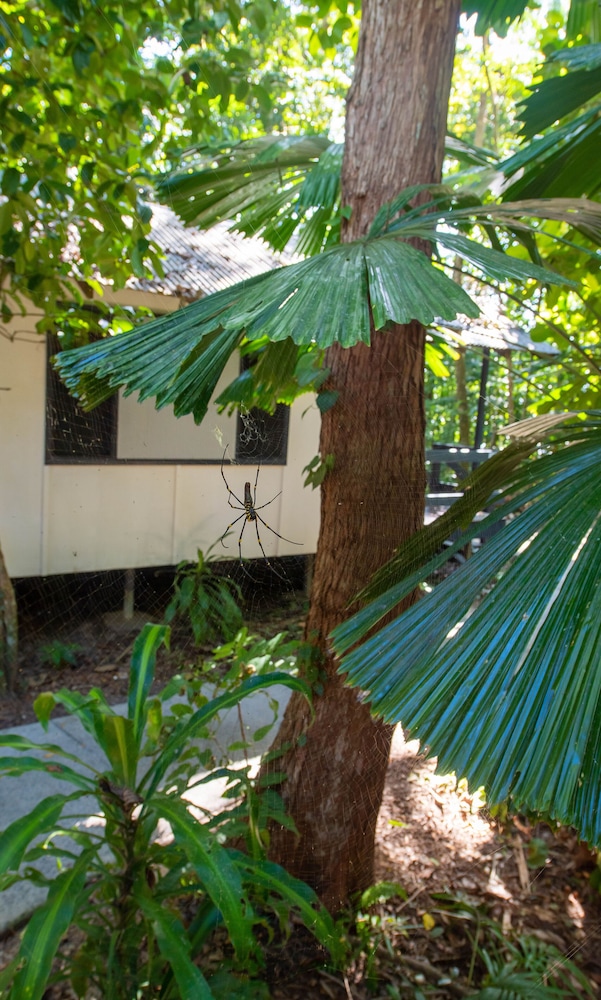 Cape Tribulation Beach House 60/65