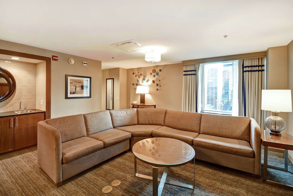 Embassy Suites by Hilton Chicago Downtown Magnificent Mile 26/53