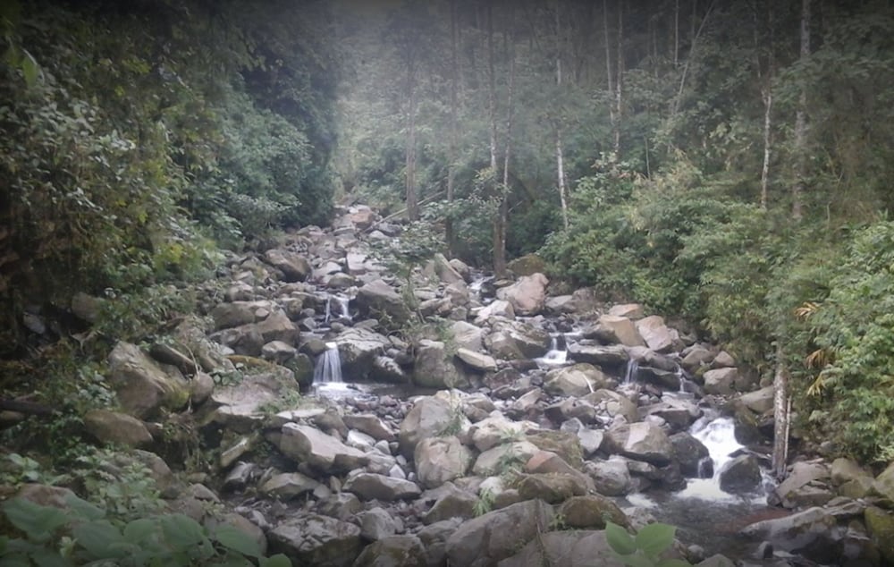 Guayabo Lodge 53/60