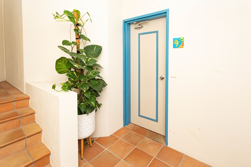 Seastar Apartments 6/50