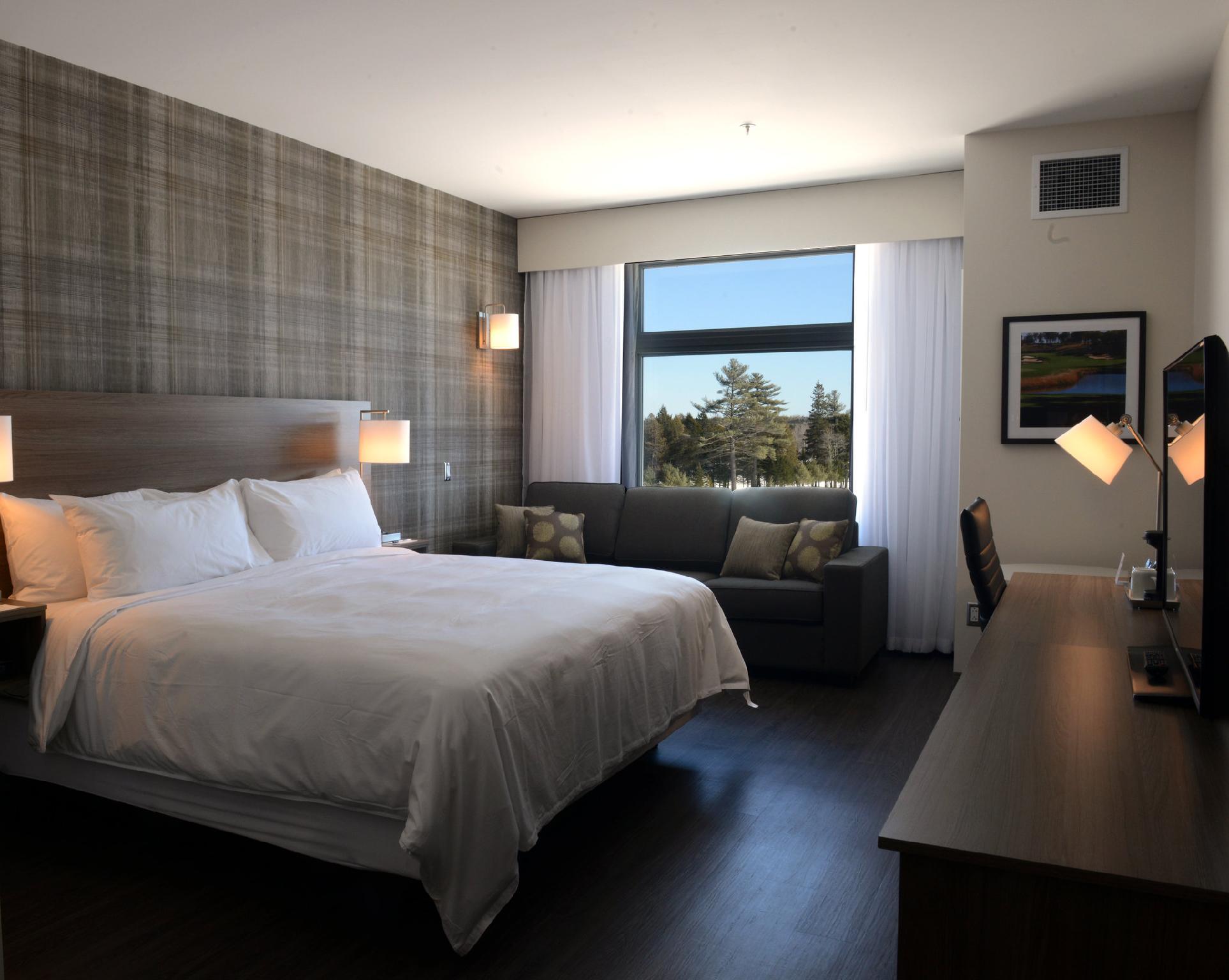 Studio, King Bed