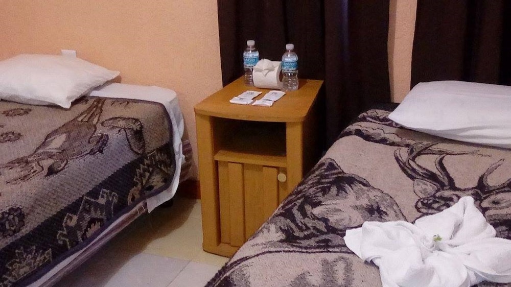 Hotel Patria photo3