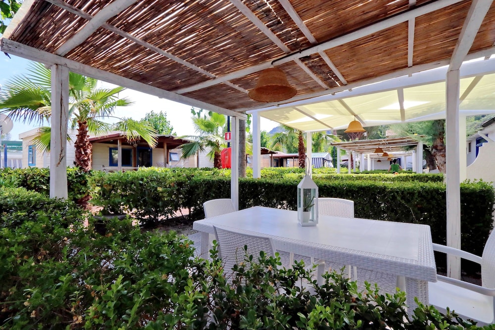 Le Palme Village 3/50