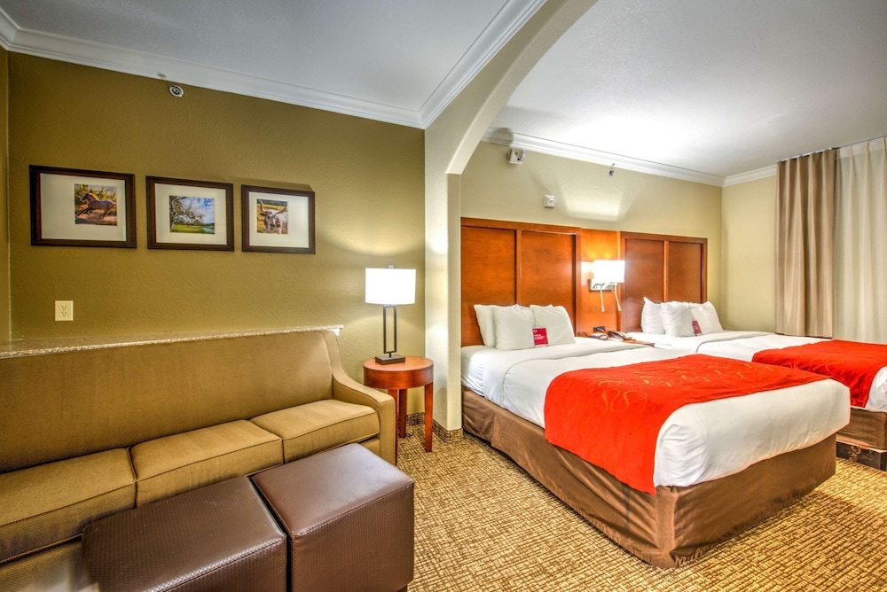 جناح مع أريكة، Comfort Suites Tomball Medical Center, TX 4/8