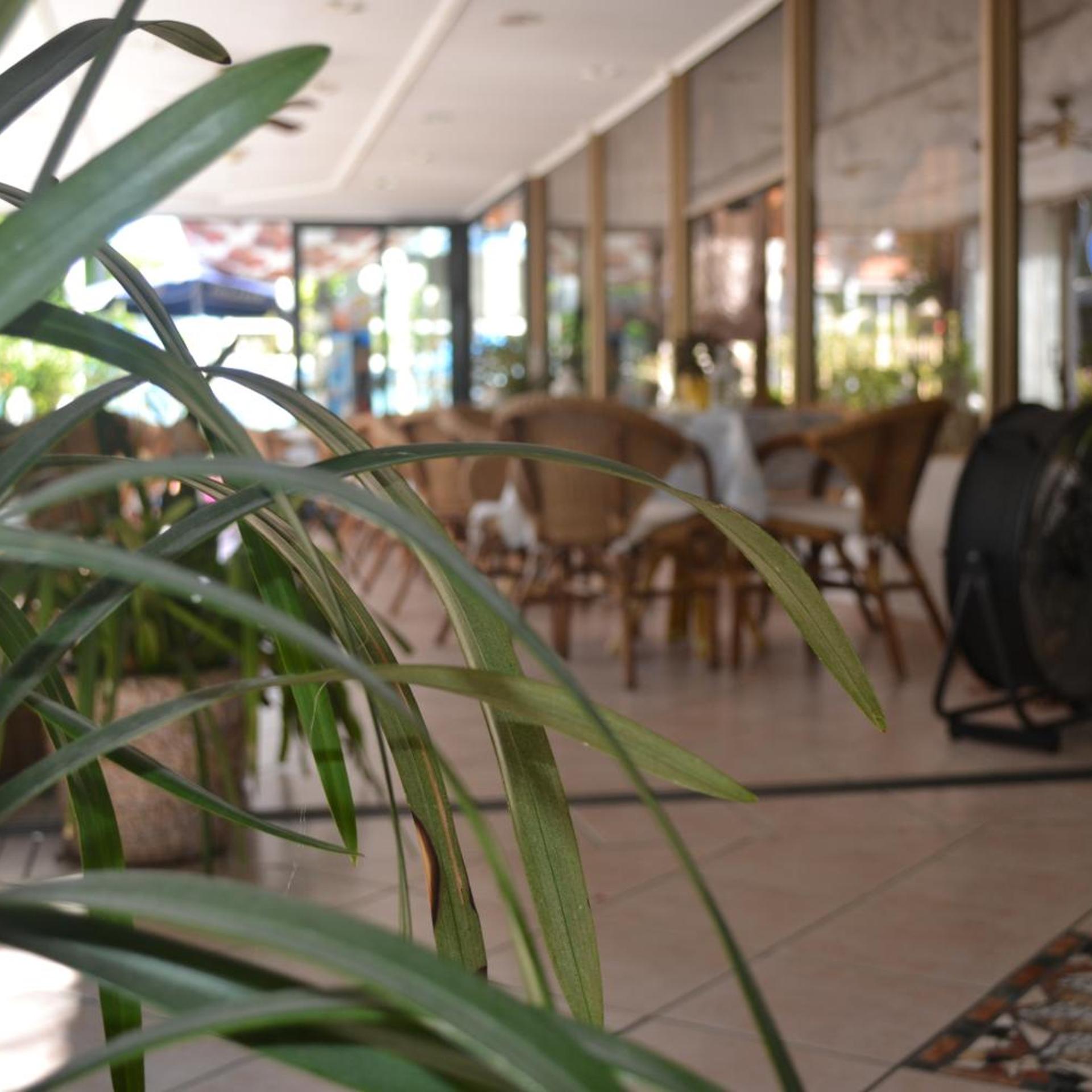 Hotel Alfredo's 27/27