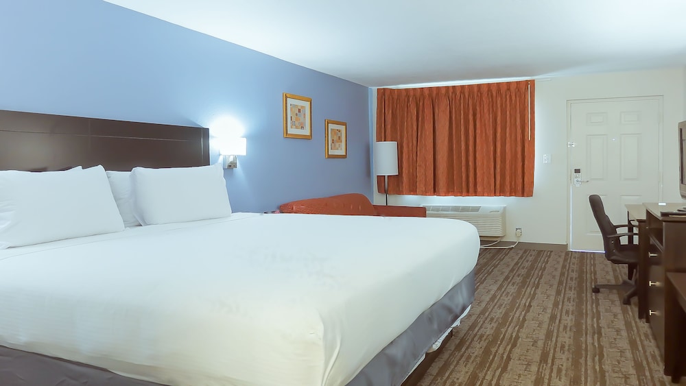 Hotel South Tampa and Suites 18/35