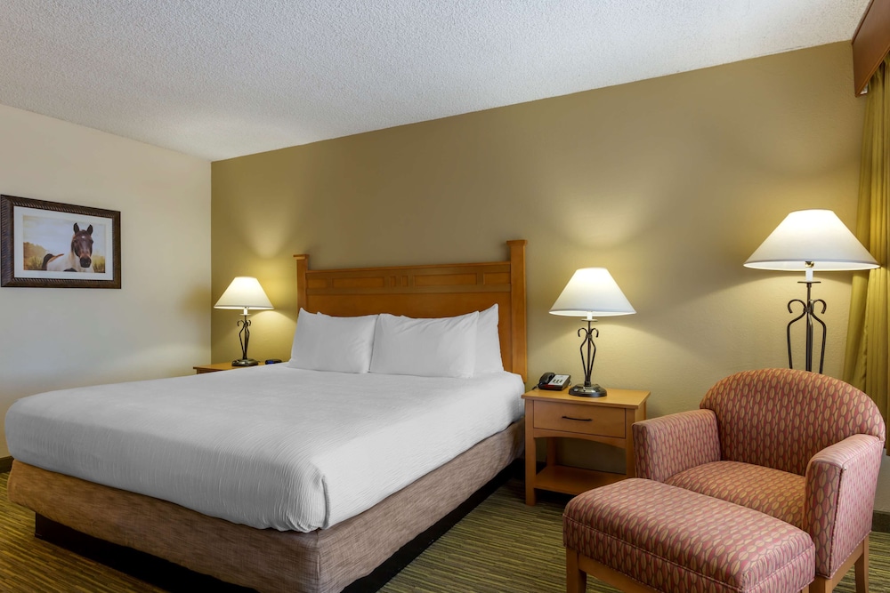 Standard, King Bed, Accessible