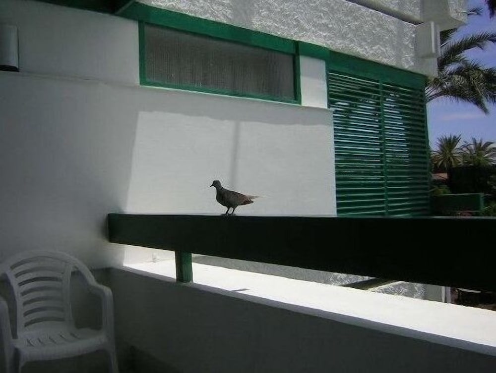 Maba Playa Apartments 8/31