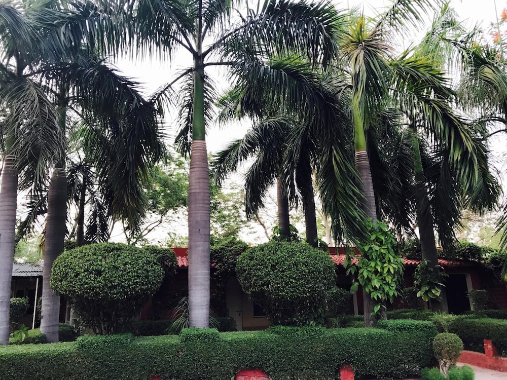 Hotel Sheela 7/53