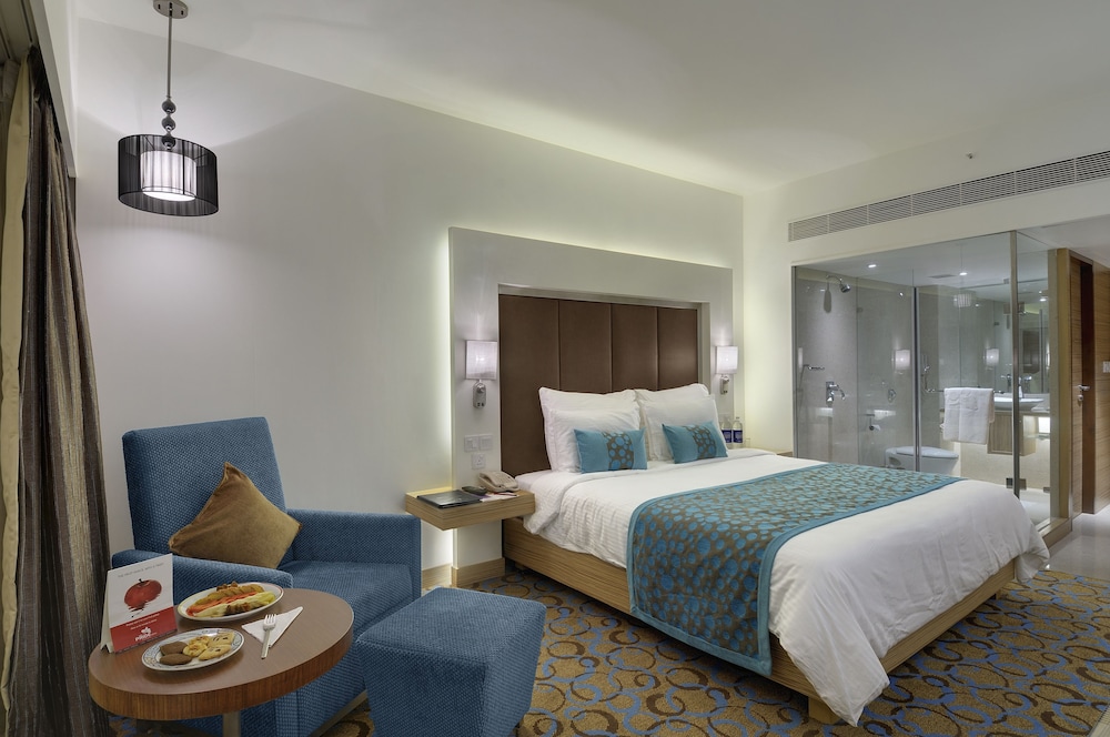 Pride Plaza Hotel Ahmedabad 11/36