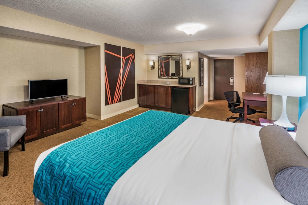 Hotel 505 20/49