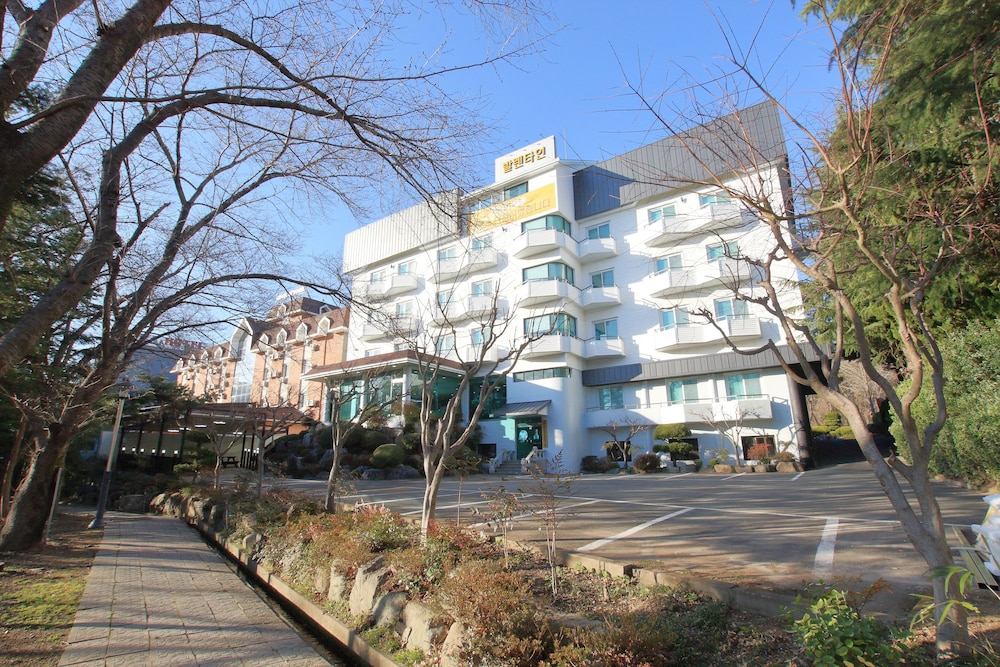 Valentine Hotel 7/47