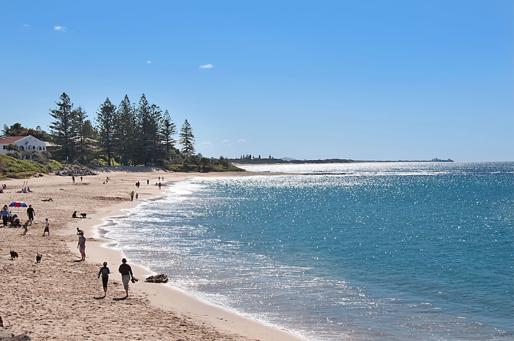 Norfolks On Moffat Beach 40/50