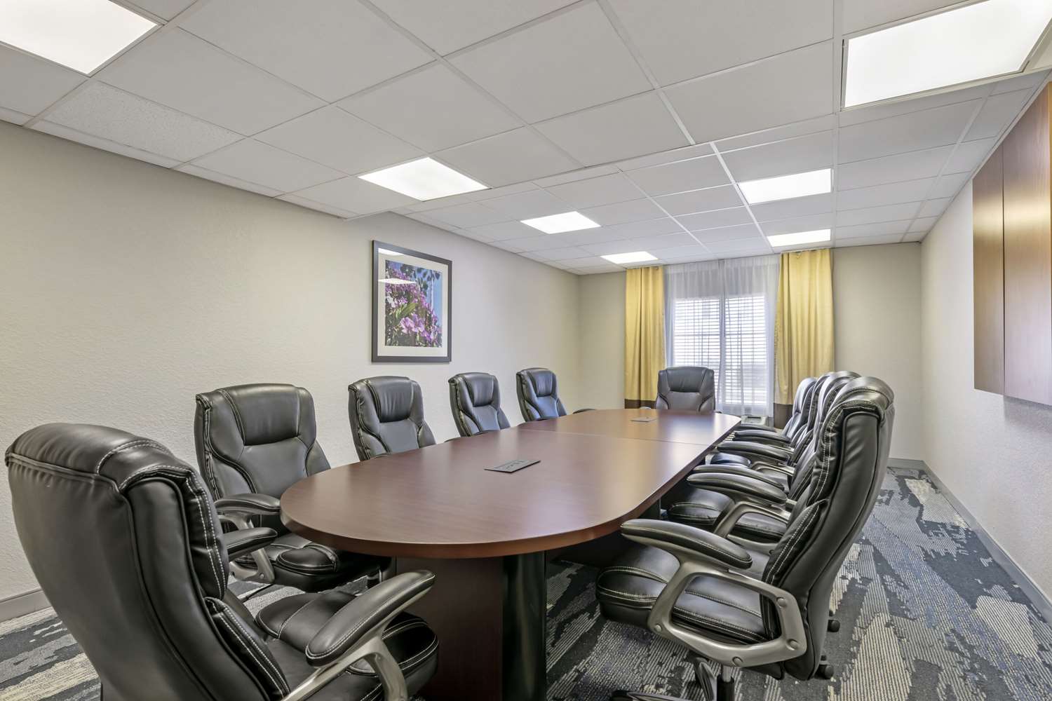 Comfort Suites Downtown Orlando 28/31
