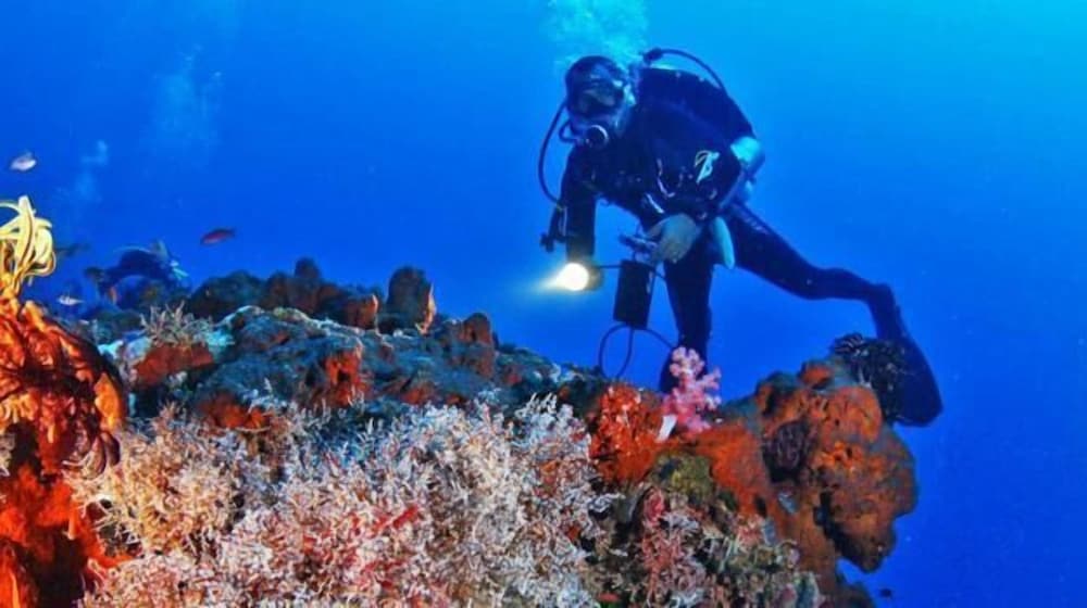 Dewantara Boutique Villa Resort 42/50