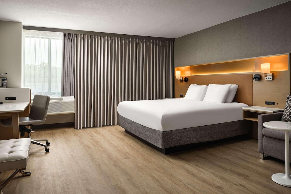 Suite, King Bed, Sofa