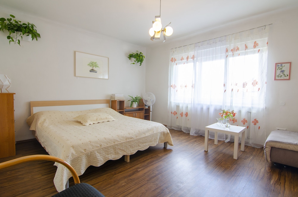 Family Guesthouse GreenSLO 10/50