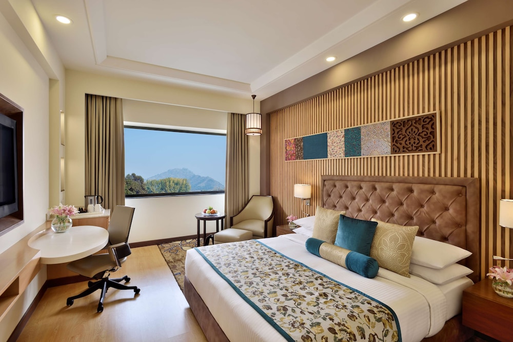 Radisson Srinagar 13/54