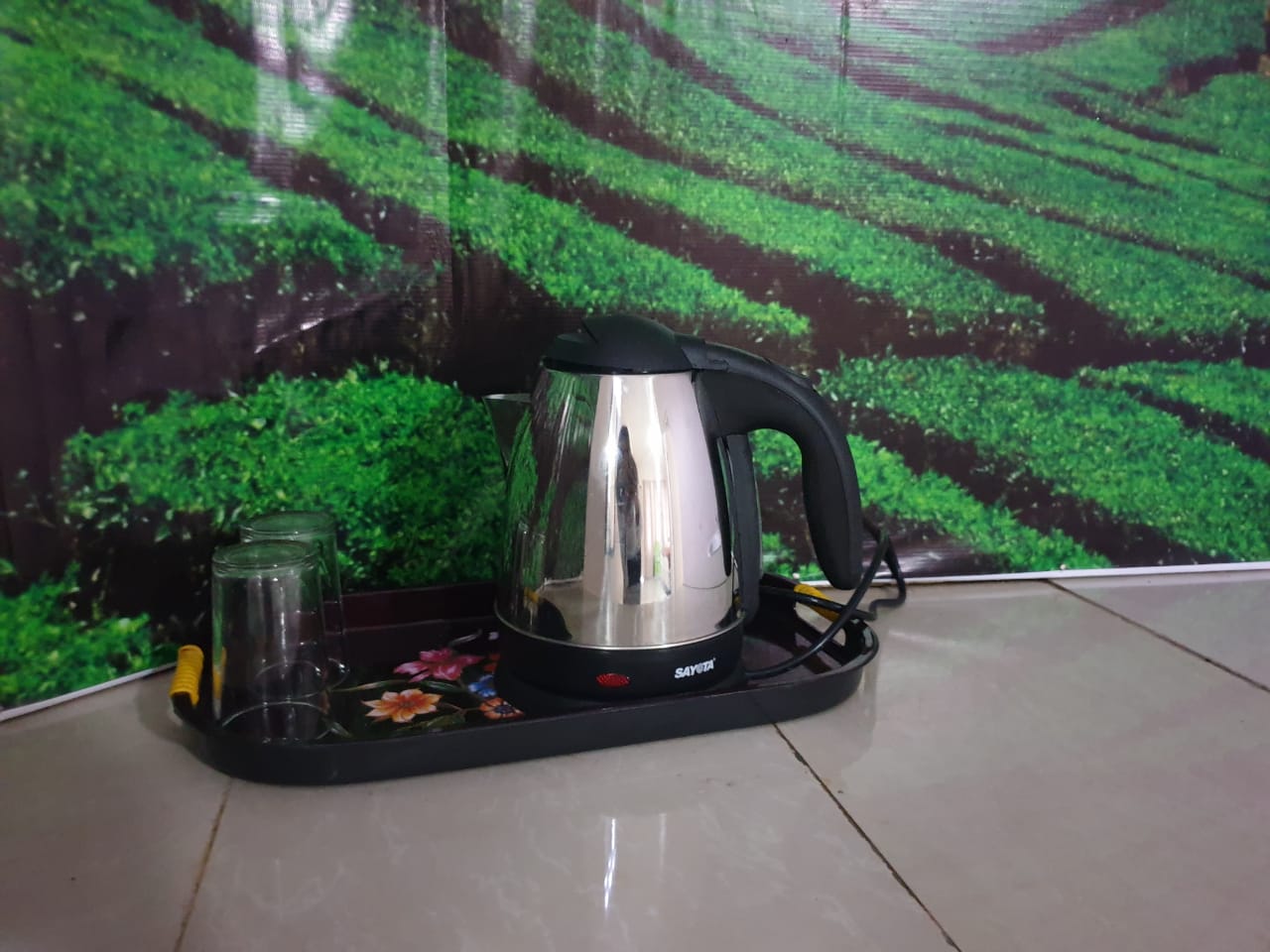 OYO 3040 D pineapple Villa 31/32