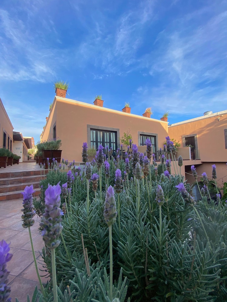 Hacienda de Guadalupe Hotel Boutique 58/62