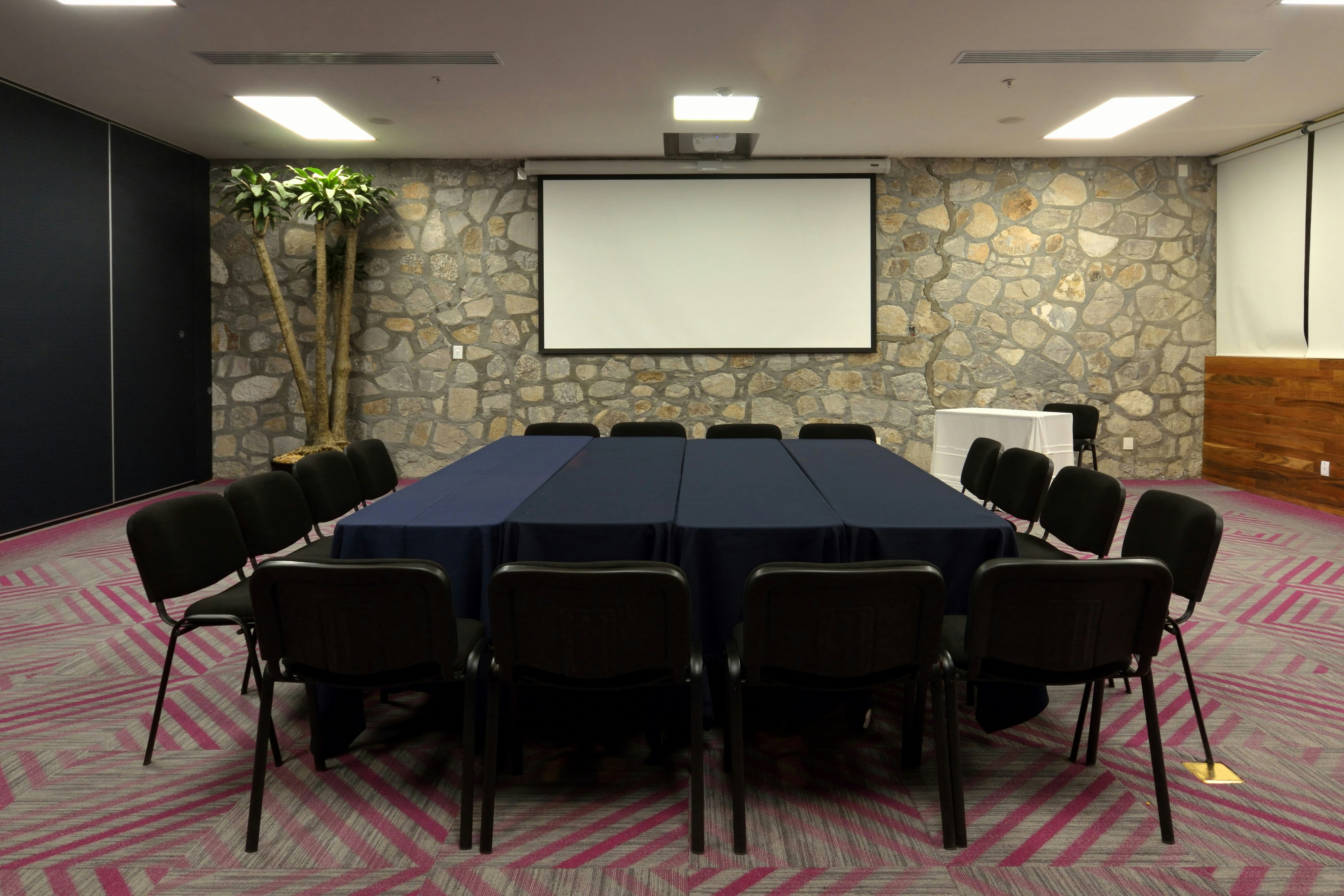 Holiday Inn Express Pachuca 49/57