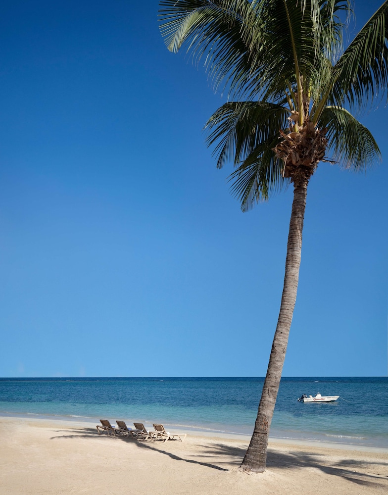 Beaches Ocho Rios Resort and Golf Club 38/50