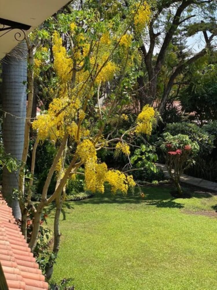 Hotel Quinta las Flores 59/71